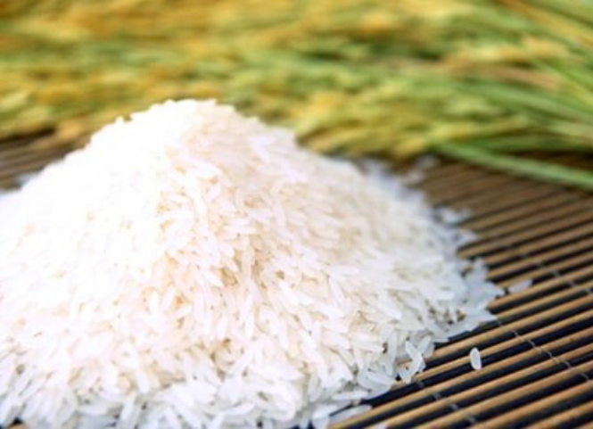 Khám phá giống lúa Việt Nam được xếp hạng ngon nhất thế giới 2