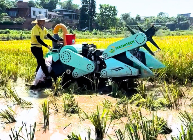 Máy gặt mini 1.4 Blue đi lầy có tốt không? 2