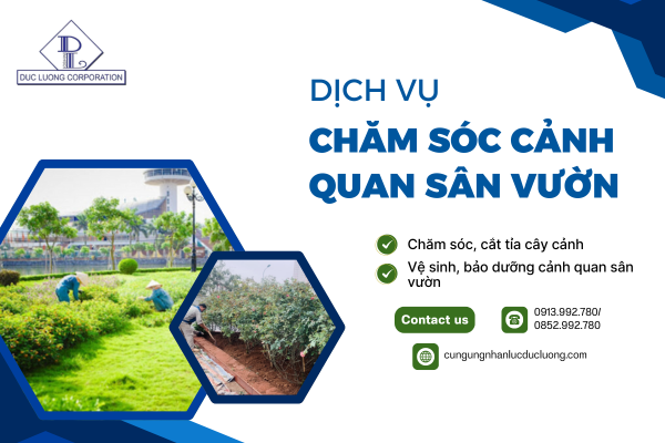 dich-vu-cham-soc-san-vuon-cham-soc-vuon-hoa-cay-canh