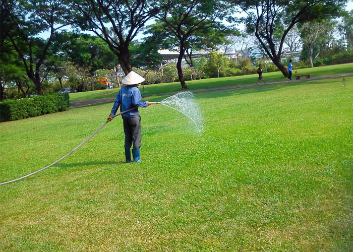 dich-vu-cham-soc-san-vuon-cham-soc-vuon-hoa-cay-canh