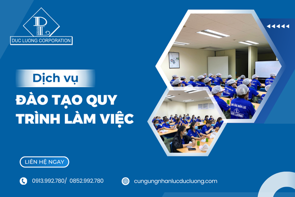 dich-vu-dao-tao-quy-trinh-lam-viec