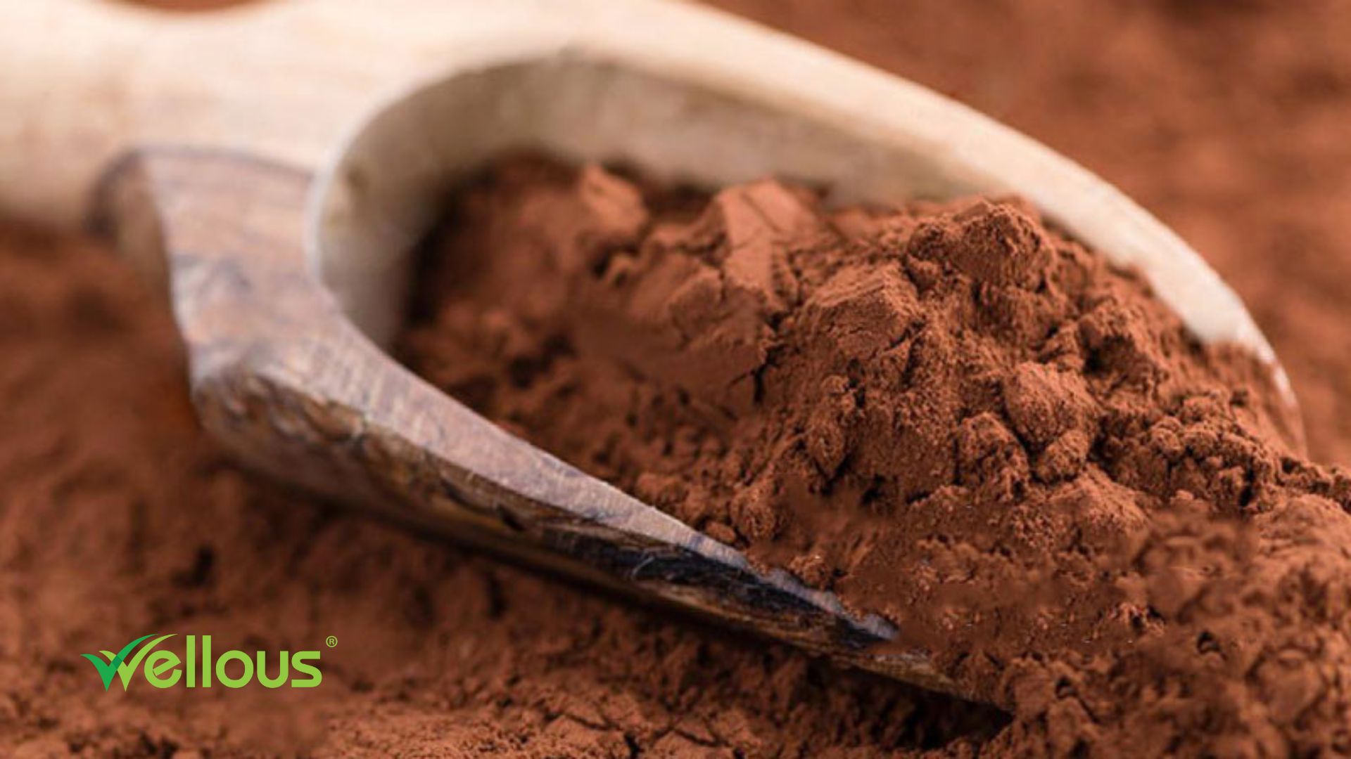 Chiết xuất thông đỏ ENZOGENOL