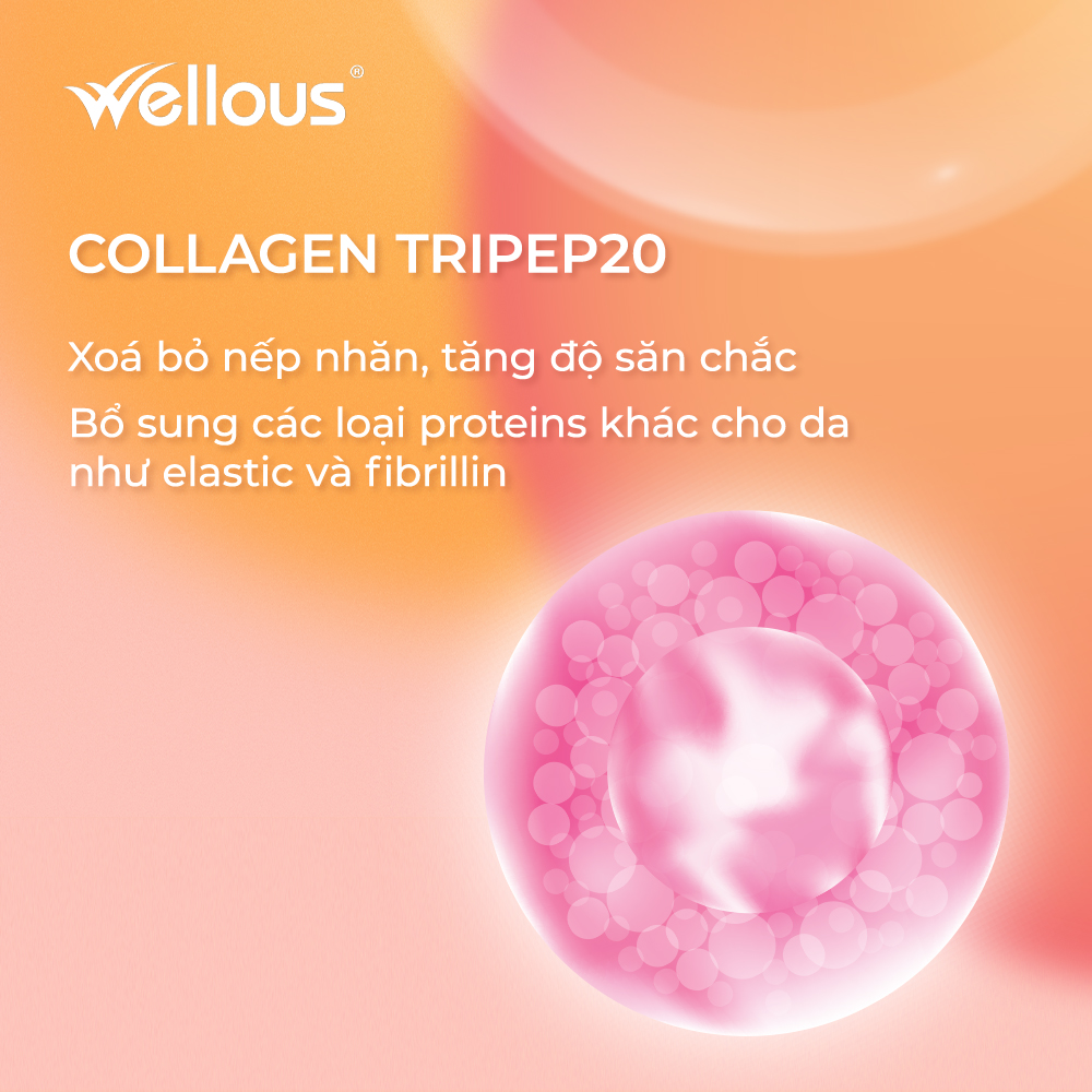 Collagen Tripep20 từ Hàn Quốc trong kẹo đẹo da D-VINE