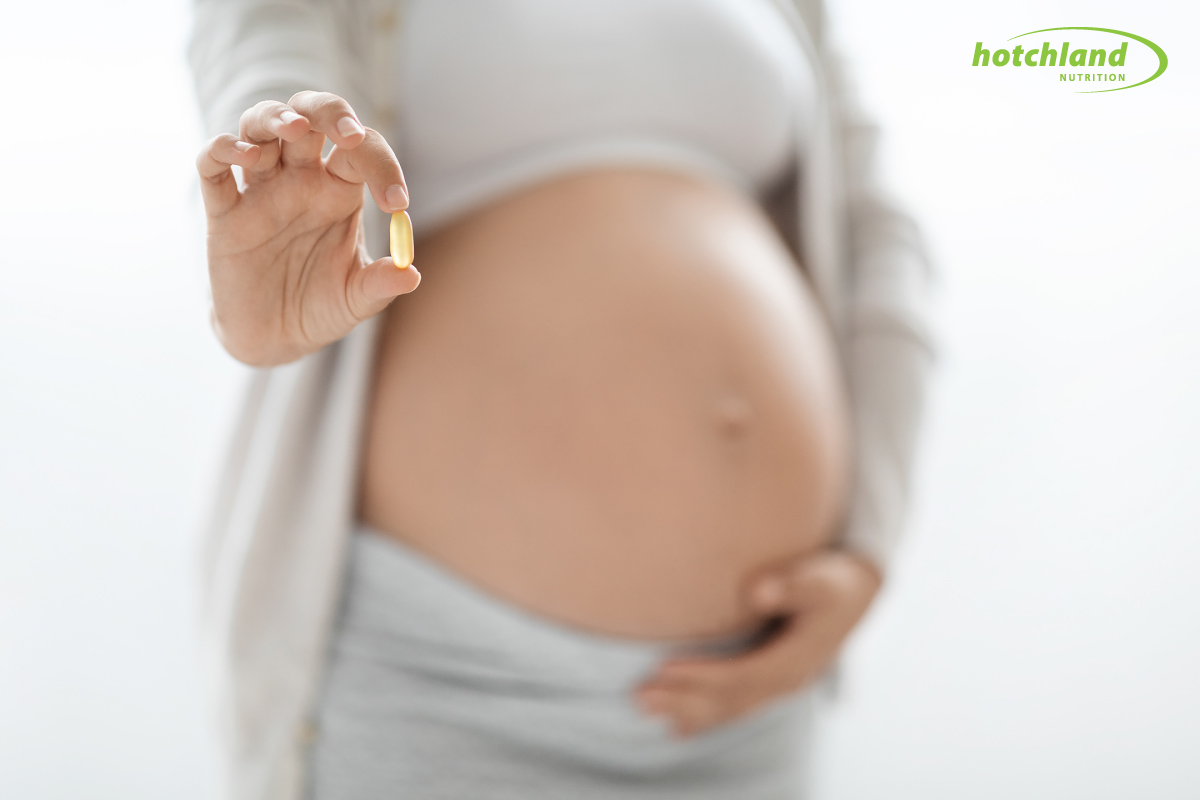 Thời điểm bổ sung DHA cho bà bầu theo từng giai đoạn thai kỳ giúp thai nhi phát triển trí não