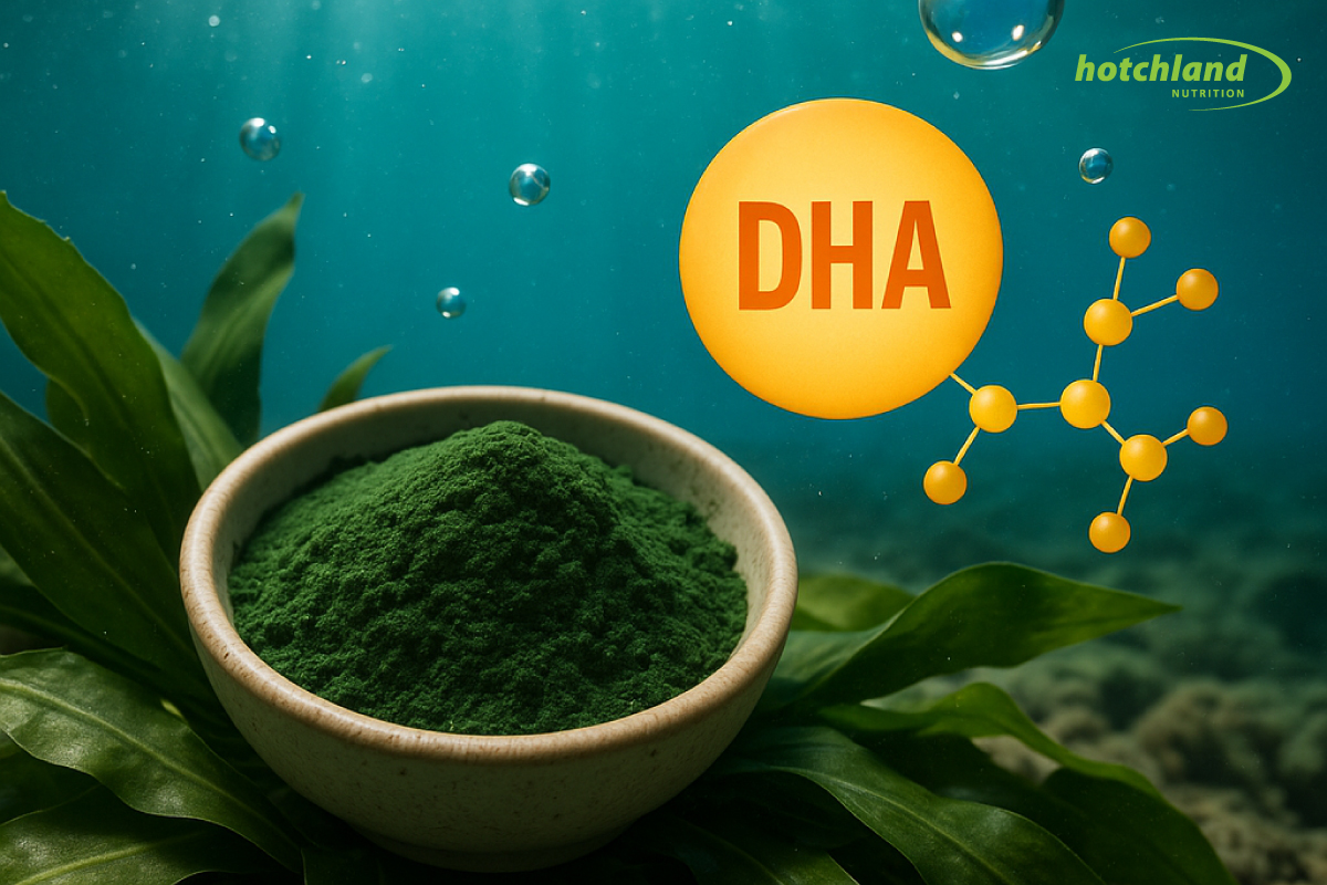 DHA từ vi tảo