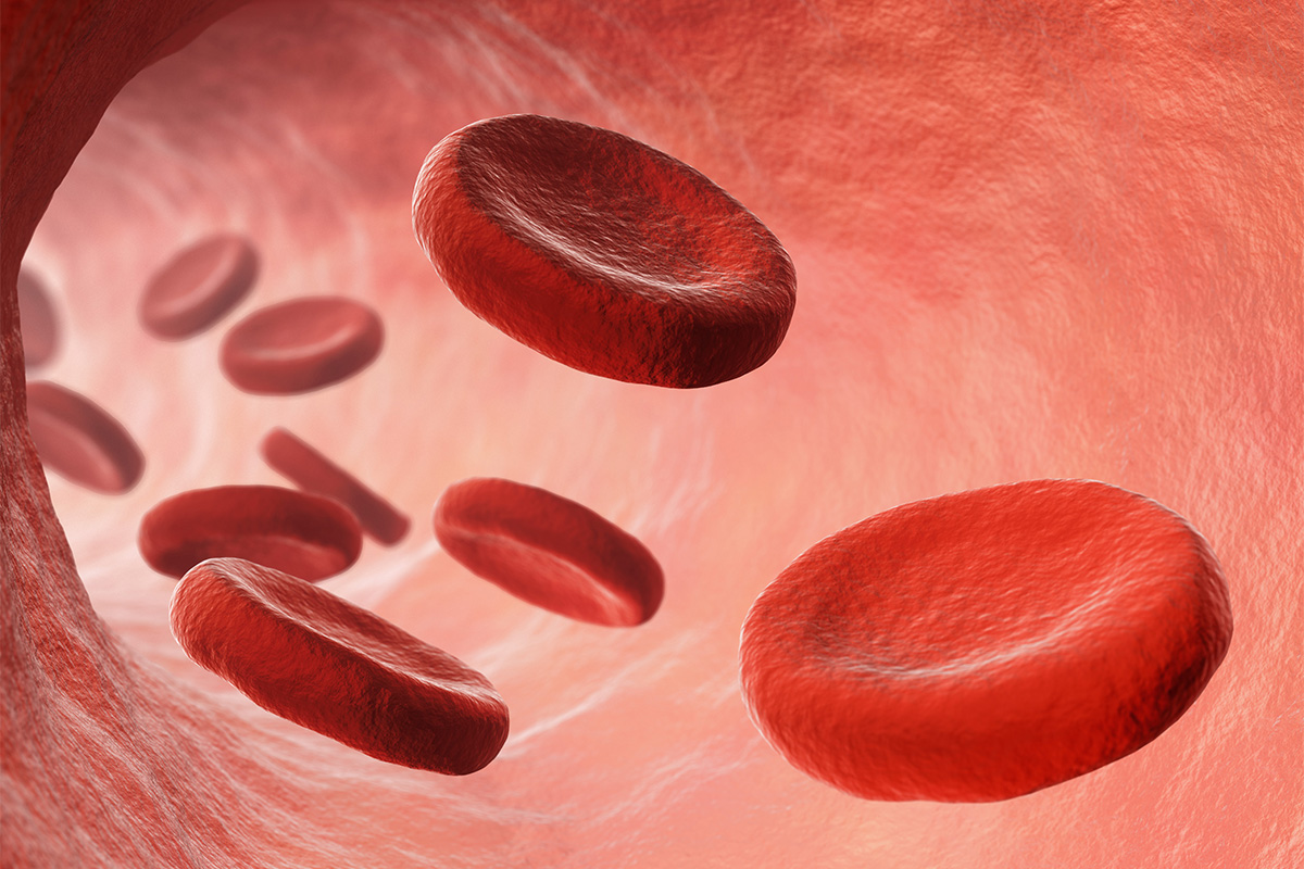 Vitamin B12 giúp tạo hồng cầu