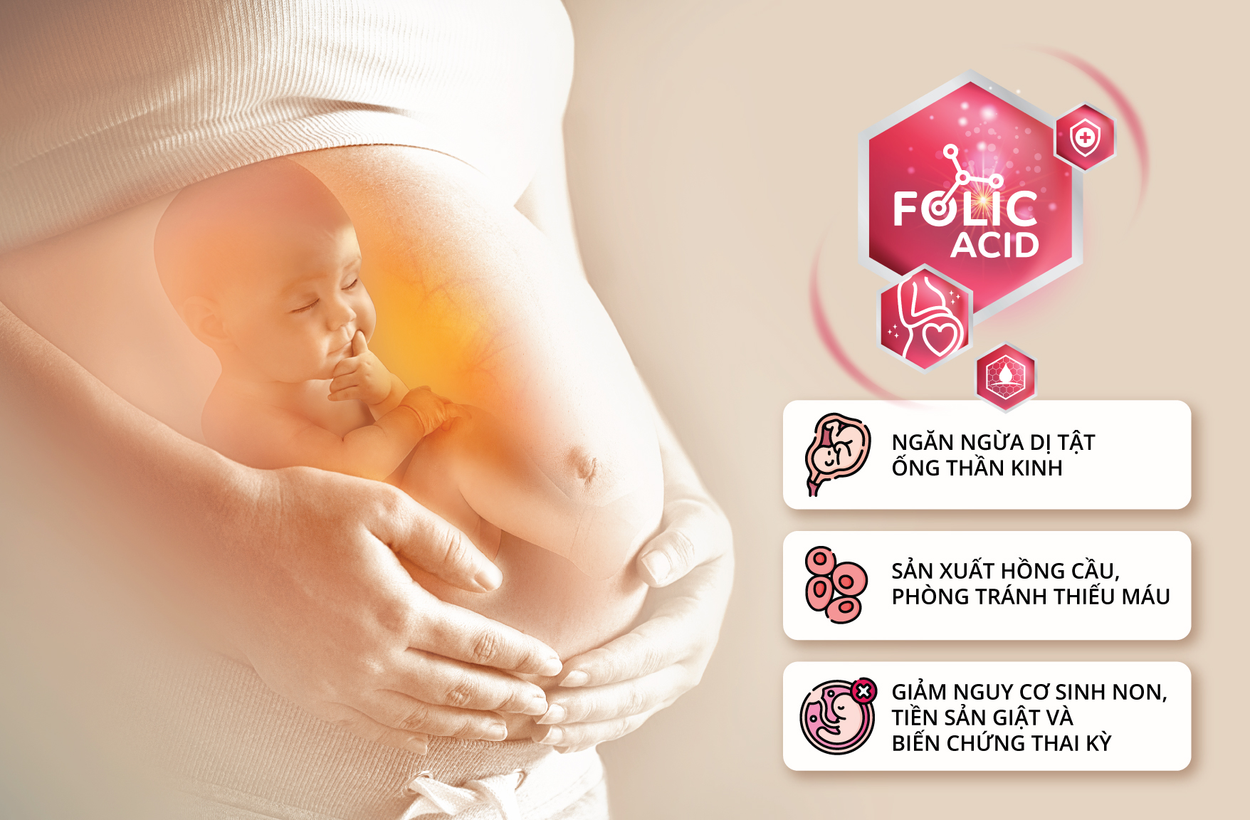 loi-ich-cua-acid-folic