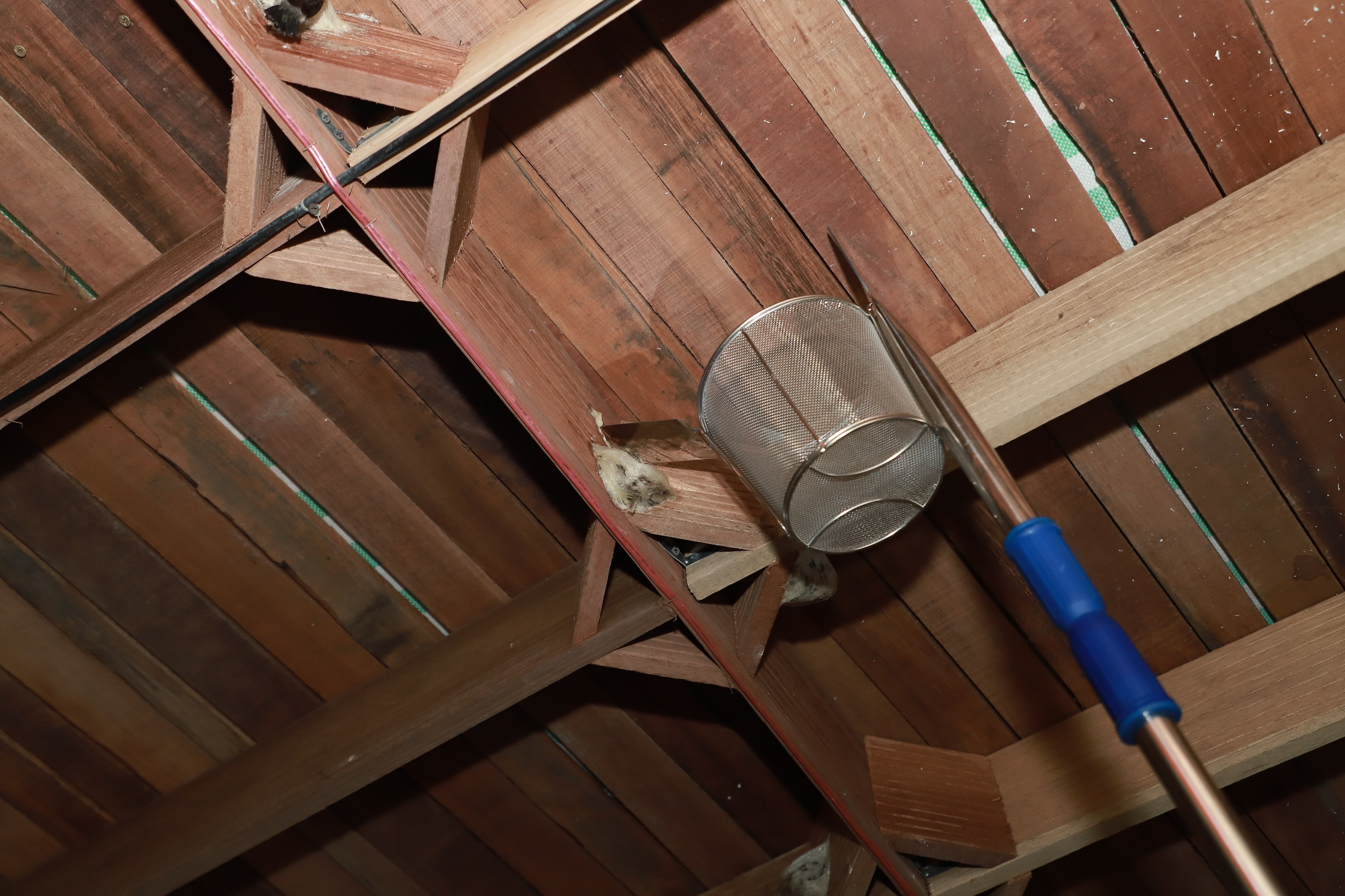 Dụng cụ thu hoạch tổ yến