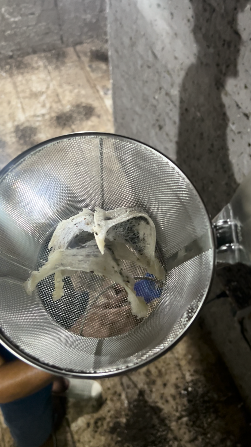 Dụng cụ thu hoạch tổ yến