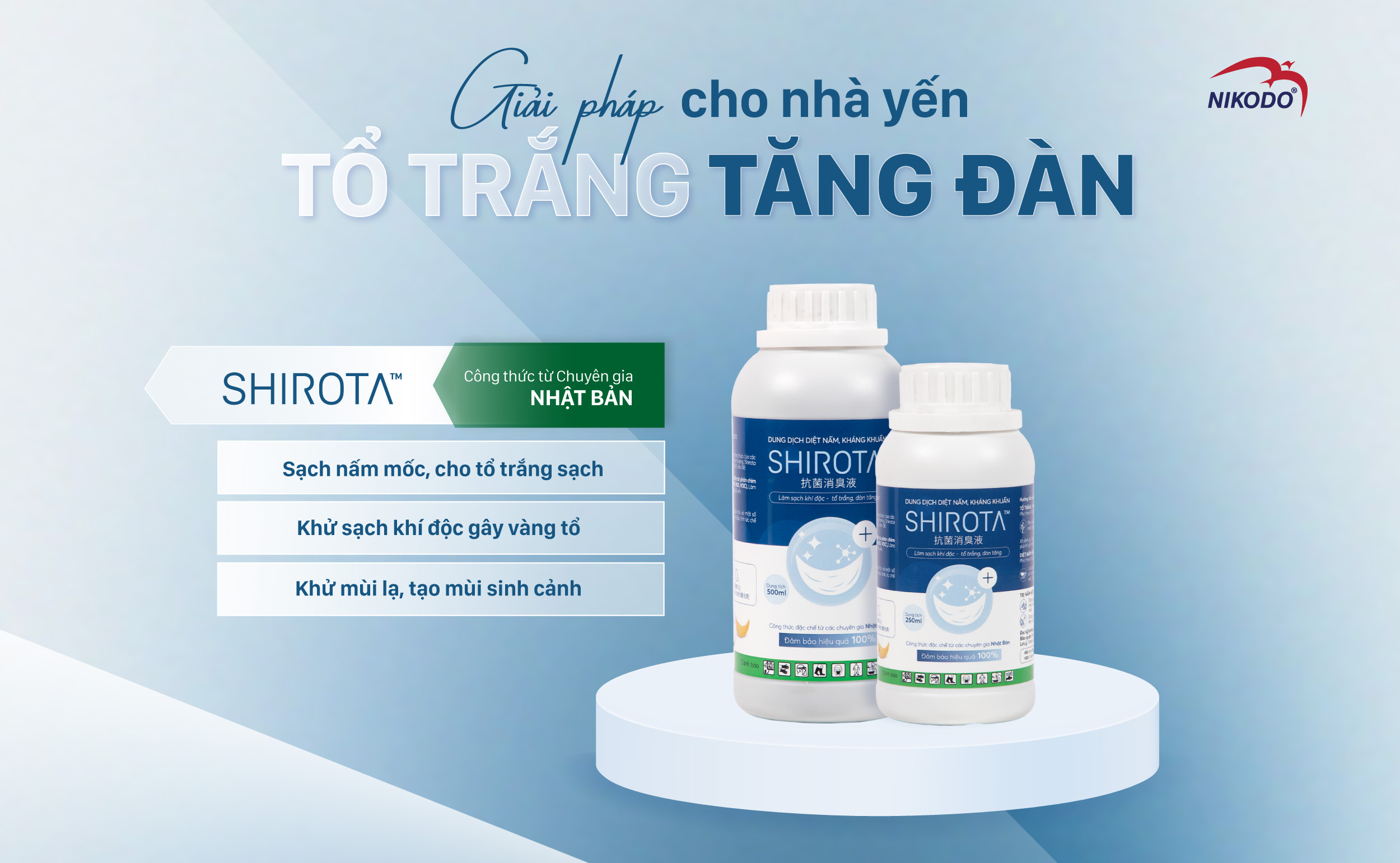 Shirota giúp tổ trắng, tăng đàn