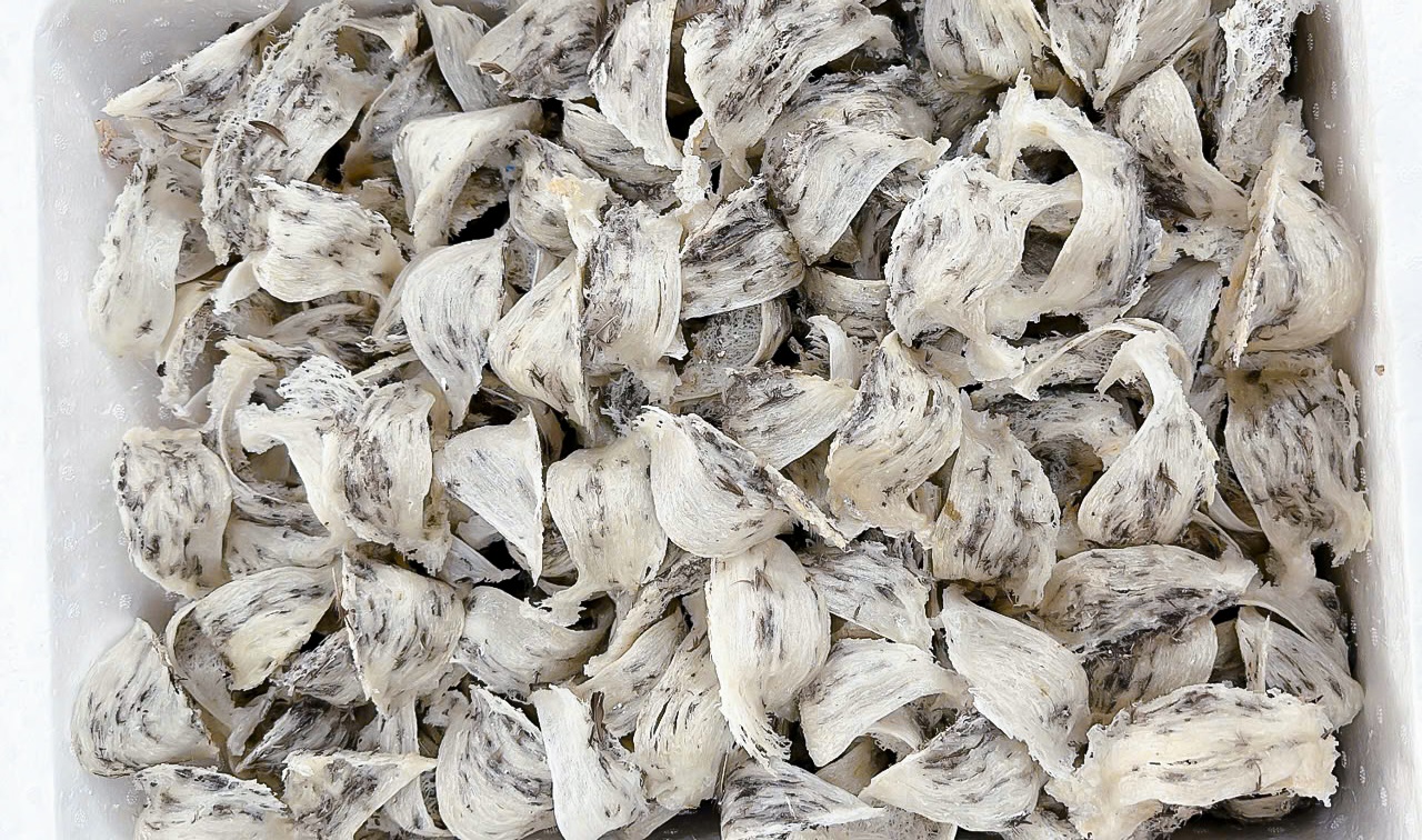 Tổ yến trắng đẹp