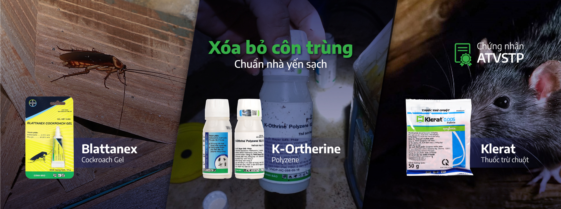 CÁC SẢN PHẨM BẢO VỆ NHÀ YẾN