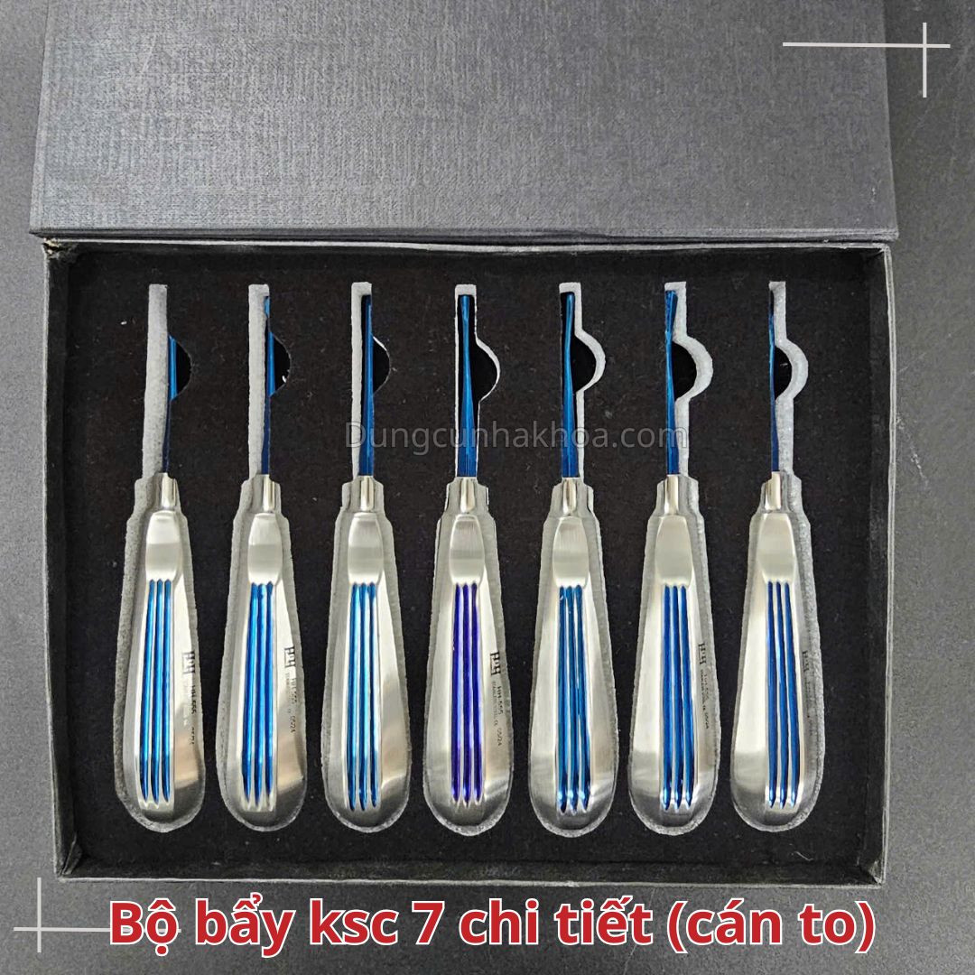 Bộ bẩy nhổ răng không sang chấn cán to 7 chi tiết