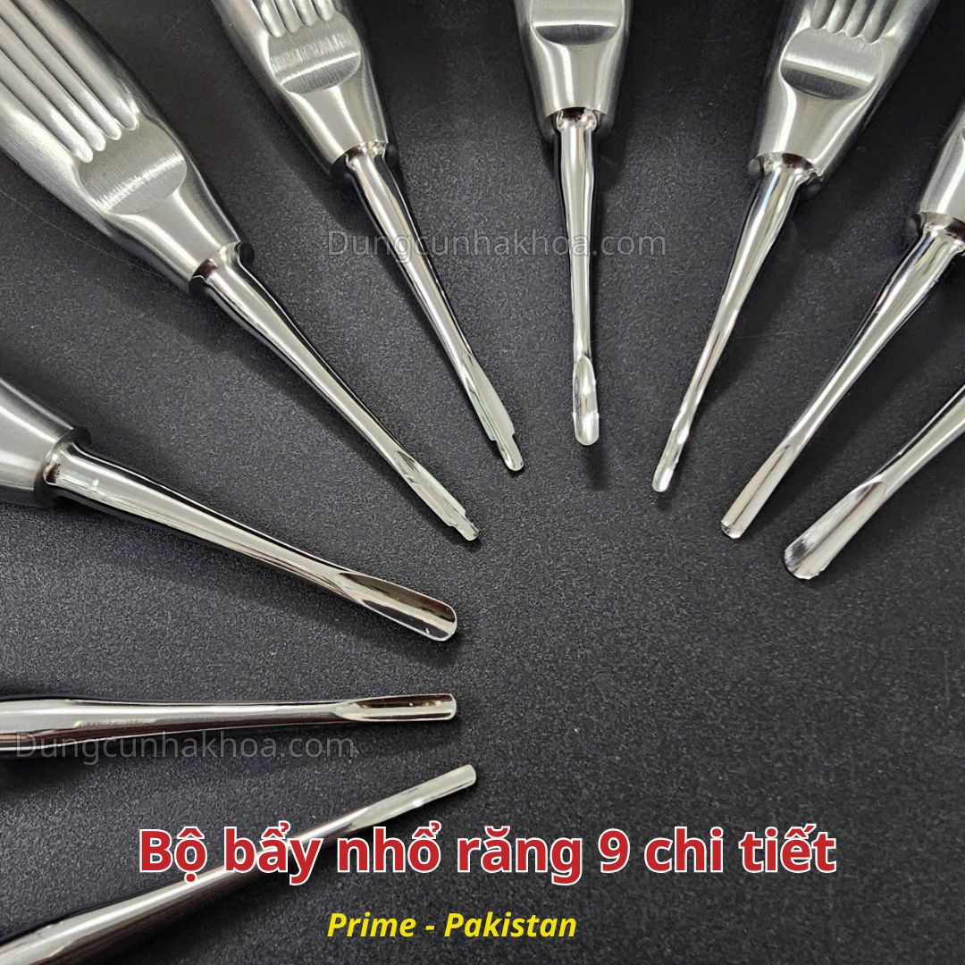 Bộ bẩy nhổ răng 9 chi tiết cán sò