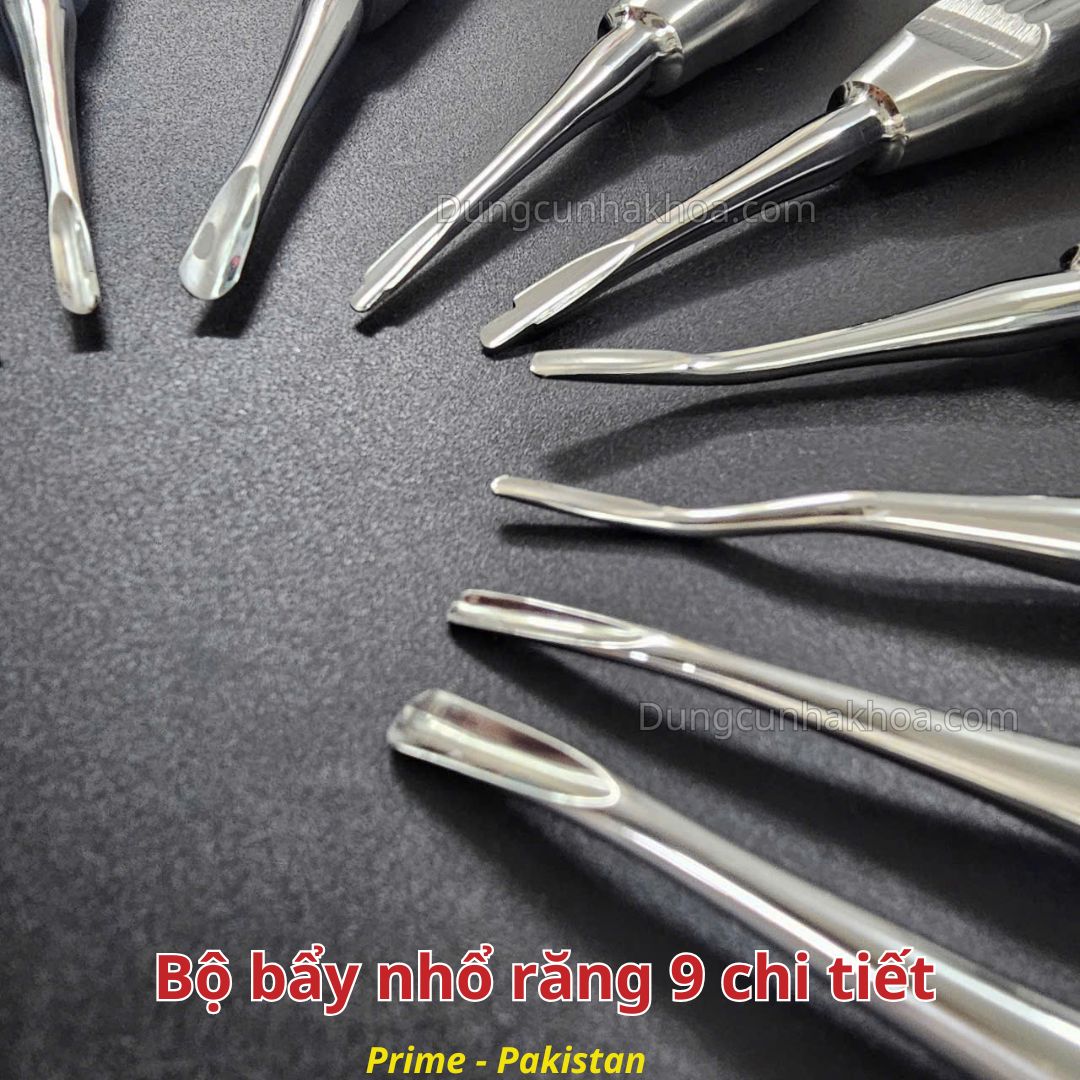 Bộ bẩy nhổ răng 9 chi tiết cán sò