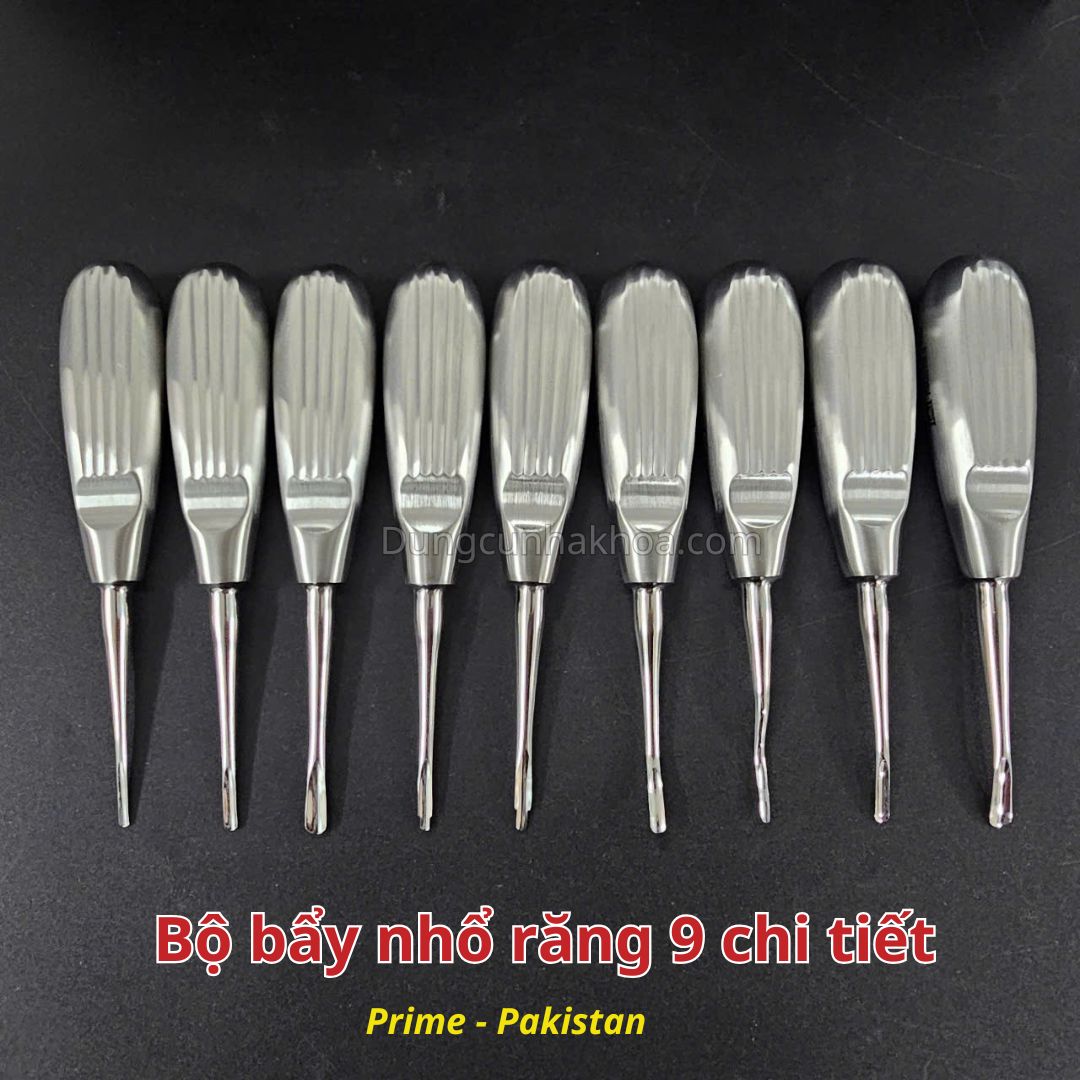Bộ bẩy nhổ răng 9 chi tiết cán sò