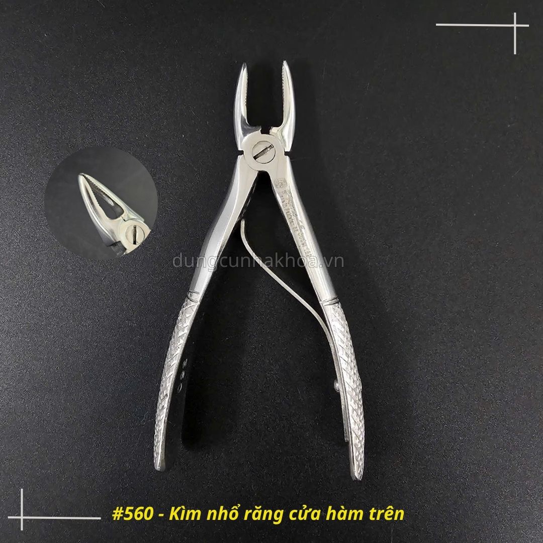 Kìm 560 - Kìm nhổ răng cửa hàm trên