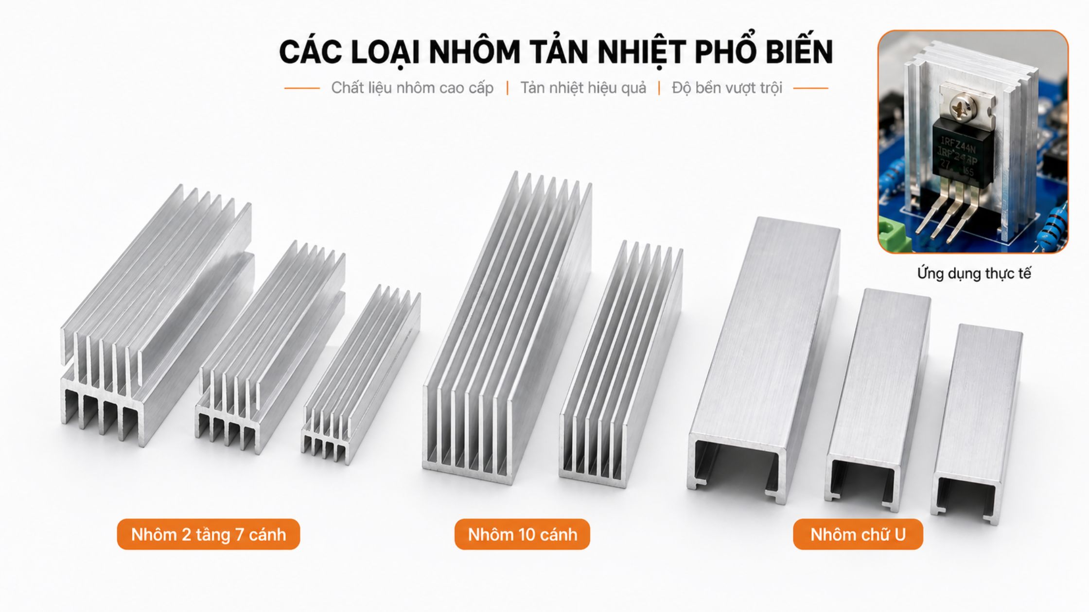 Hình ảnh minh họa (7)