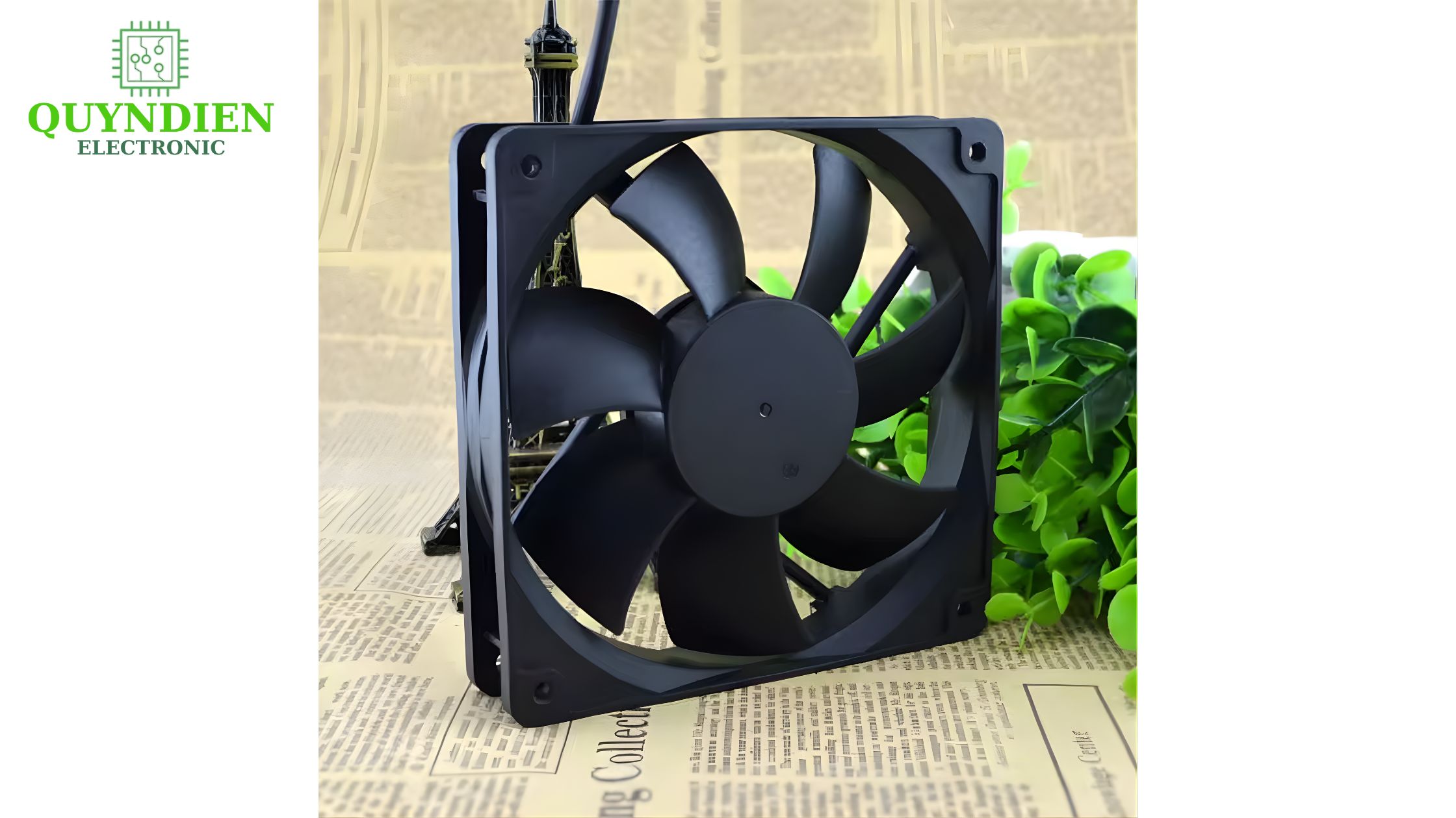 Hình Quạt Tản Nhiêt 80x80x25mm 12V - Linh Kiện Quỳnh Diễn