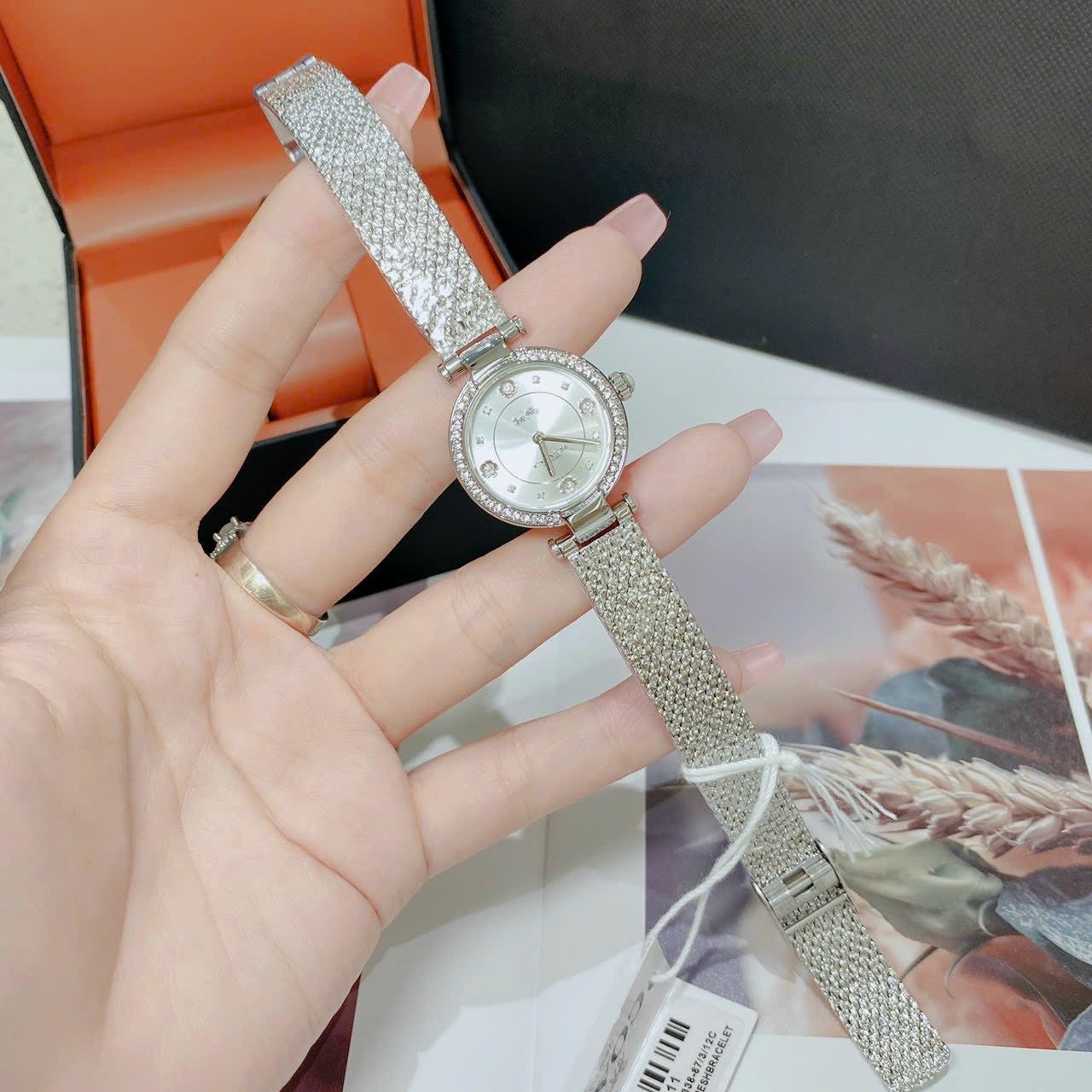 Đồng Hồ Coach Carry |Nữ Giới |Mặt Tròn |Đính Đá |Dây Lưới Silver |Máy Pin (Quartz) |Size 26mm |donghogiatot.vn