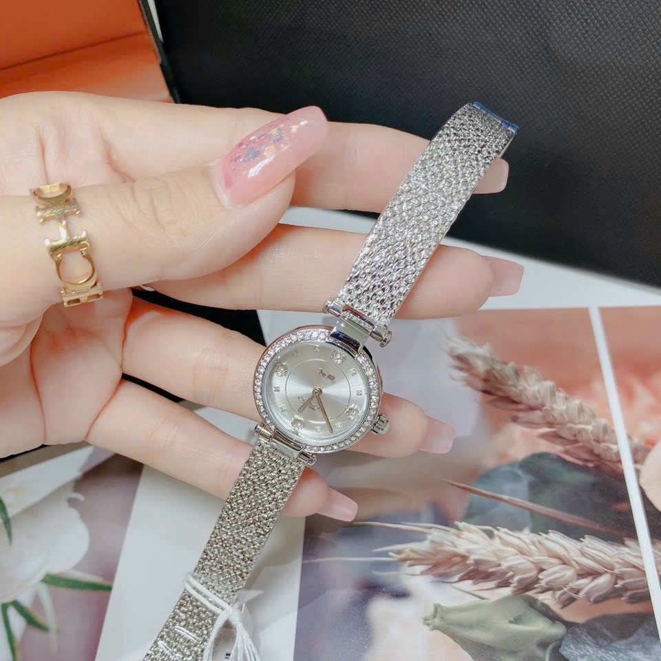 Đồng Hồ Coach Carry |Nữ Giới |Mặt Tròn |Đính Đá |Dây Lưới Silver |Máy Pin (Quartz) |Size 26mm |donghogiatot.vn