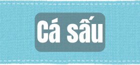 Cá sấu