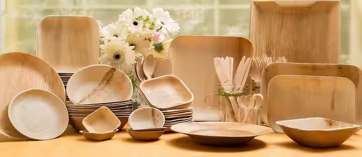 Areca Palm Leaf Tableware