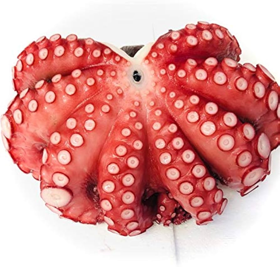 Bạch Tuộc Đỏ Nhật Sashimi Hảo Hạng – Chất Lượng Tuyệt Đỉnh Tại Amazing Foods