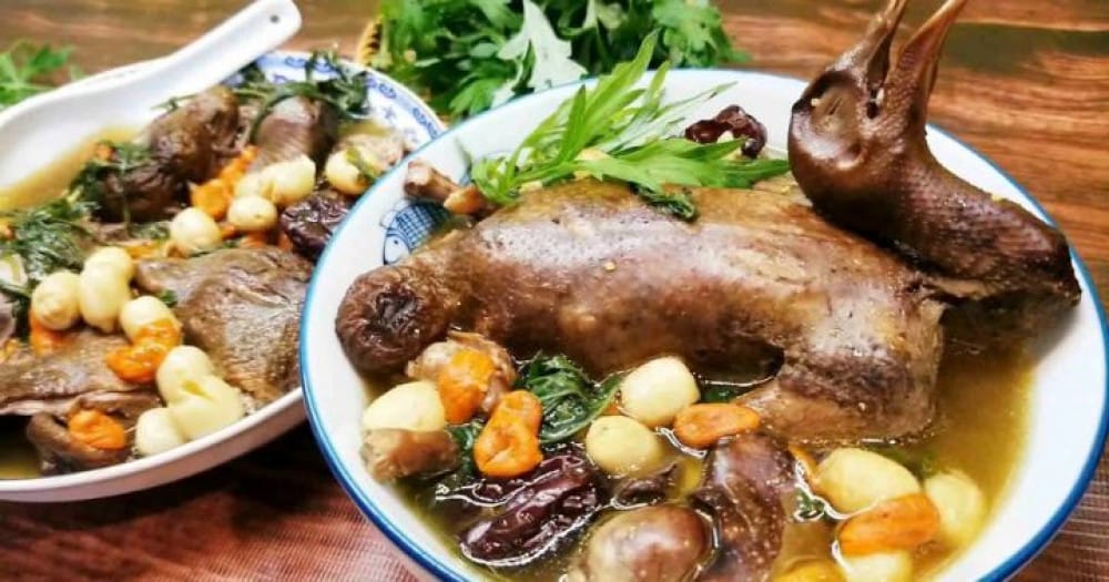 Bồ Câu Hầm Hạt Sen – Món Ăn Thanh Đạm, Dễ Tiêu Hóa