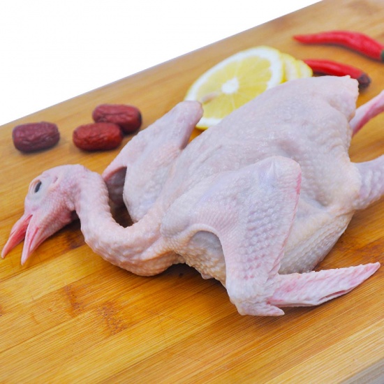 🐦 CHIM CÚT, BỒ CÂU – ĐẶC SẢN BỔ DƯỠNG