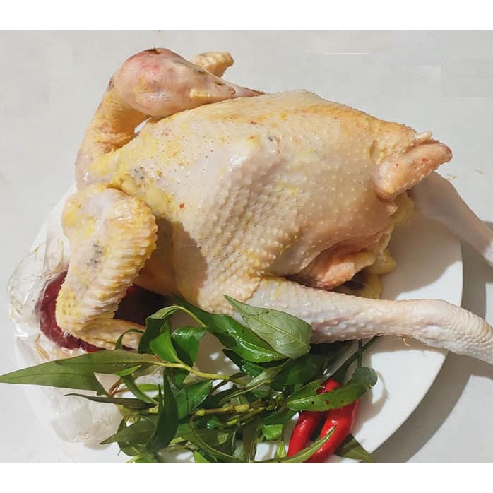 THỊT GÀ TƯƠI – ĐẢM BẢO TƯƠI NGON, GIÁ CỰC TỐT