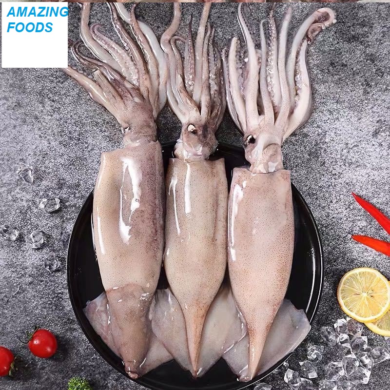 MỰC ỐNG INDO SIZE 3-4 CON/KG TẠI CỬA HÀNG AMAZING FOODS