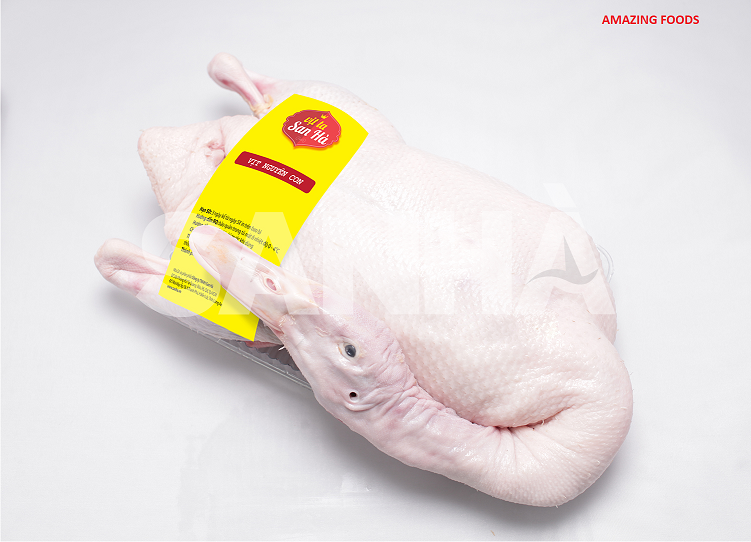 cung cấp sỉ lẻ thịt vịt tươi ở tphcm