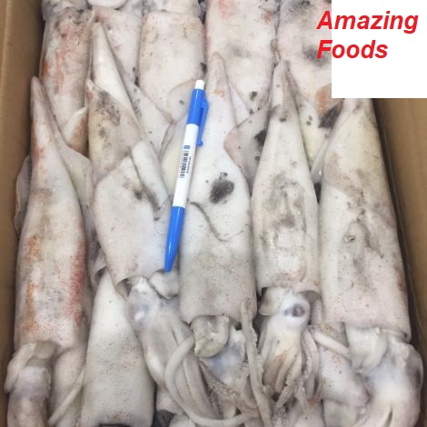 BÁN MỰC ỐNG INDO TƯƠI NGON GIÁ TỐT TẠI CỬA HÀNG AMAZING FOODS