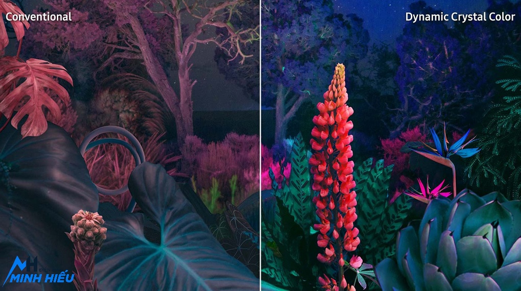 Samsung Smart Tivi 55 Inch 4K UA55BU8000KXXV - công nghệ crystal color