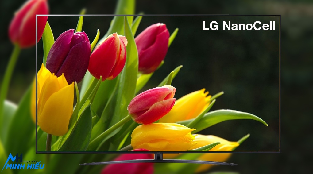 LG Smart Tivi OLED 55 Inch 4K OLED55G2PSA - HÌNH ẢNH SẮC NÉT