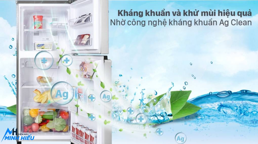 Tủ Lạnh Panasonic 2 Cánh 170 Lít NR-BA190PPVN - kháng khuẩn và khử mùi hiệu quả