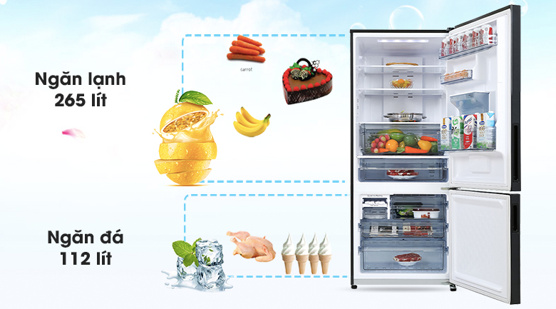 Tủ Lạnh Panasonic 377 Lít 2 Cánh NR-BX421GPKV - Dung tích