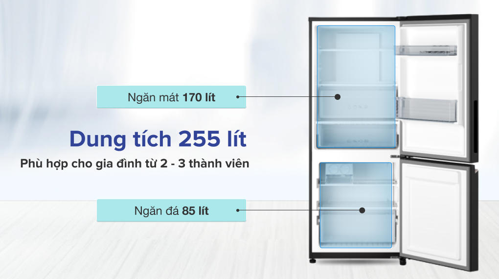 Tủ Lạnh Panasonic 2 Cánh 255 Lít NR-BV281BGMV (Model 2023) - Dung tích