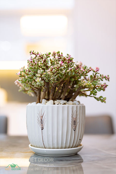 Nội Thất Việt Decor thiết kế thi công nội thất, tủ bếp gỗ công nghiệp An Cường, nhà phố 3 tầng tại thành phố Biên Hòa, Đồng Nai, bàn ăn