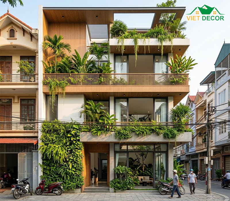 Nhà phố 3 tầng ngang 8m hiện đại không gian xanh (Eco-house)