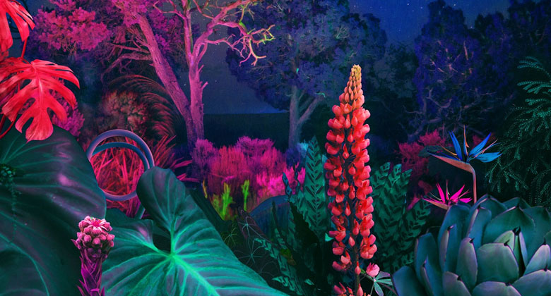 55BU8000 - Dynamic Crystal Color