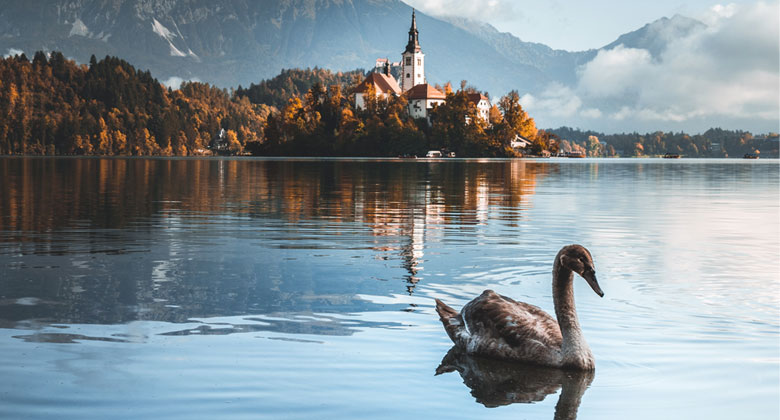 Tivi K-55XR80 - Hình ảnh sắc nét. Tinh chỉnh và nâng cấp lên chất lượng 4K