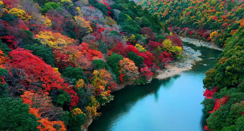 Tivi Sony K-65XR80 - Hơn một tỷ màu sắc sống động như thật