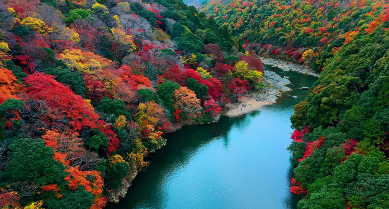 Google Tivi QLED Mini LED Sony AI 4K 75 inch K-75XR70 - Hơn một tỷ màu sắc sống động như thật