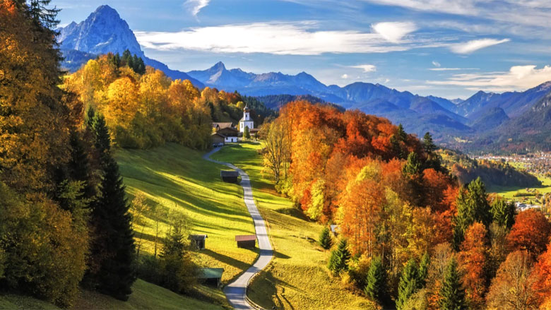 65C645 - Sáng hơn, rực rỡ hơn