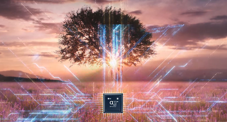 Nên mua tivi Samsung 55DU8000 hay tivi LG 55UQ7050PSA? So sánh chi tiết