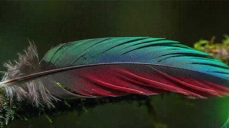 Tivi LG 4K 75 inch 75NU855BPSA - Tinh chỉnh độ tương phản, tái hiện chiều sâu chân thực