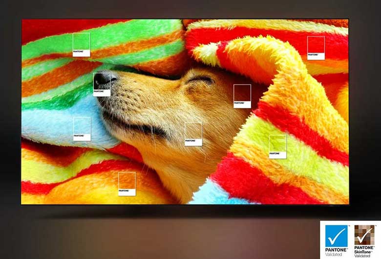 TV Samsung 65S90C - Bảo chứng màu sắc nguyên bản từ PANTONE