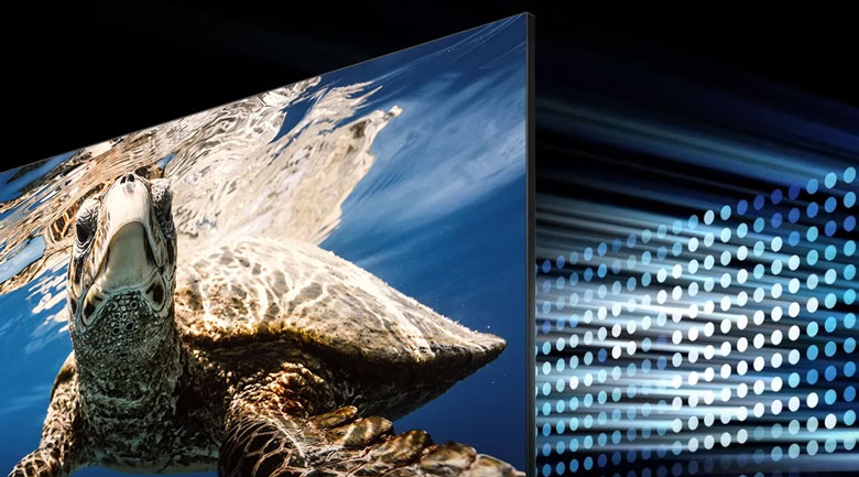 Tivi 65Q80D - Công nghệ đèn nền Direct Full Array